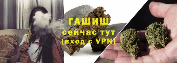 прущие грибы Елабуга