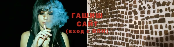 прущие грибы Елабуга