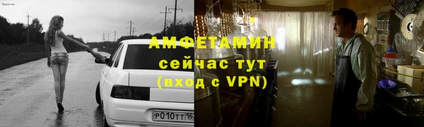 прущие грибы Елабуга