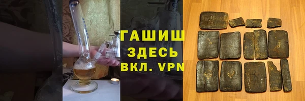 прущие грибы Елабуга