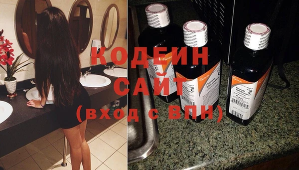 гашик Дмитриев