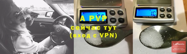 крисы Няндома