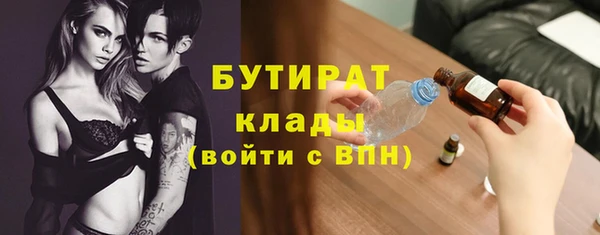 прущие грибы Елабуга