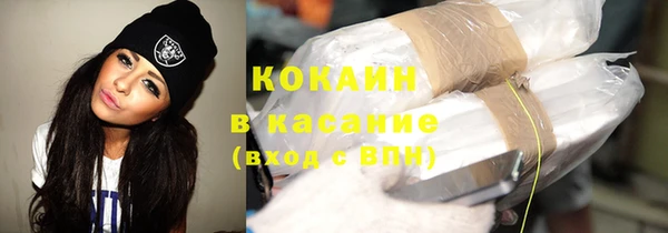 прущие грибы Елабуга