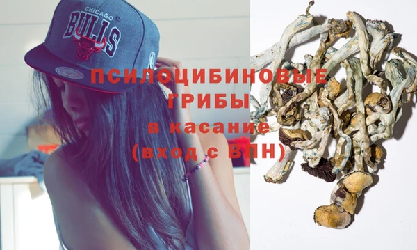 крисы Няндома