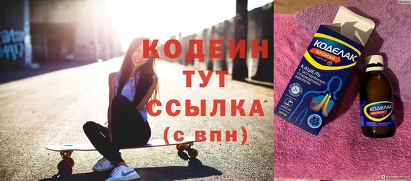 прущие грибы Елабуга