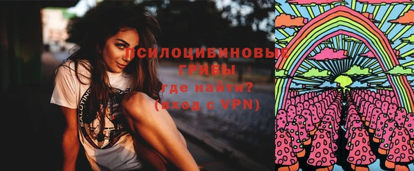 прущие грибы Елабуга