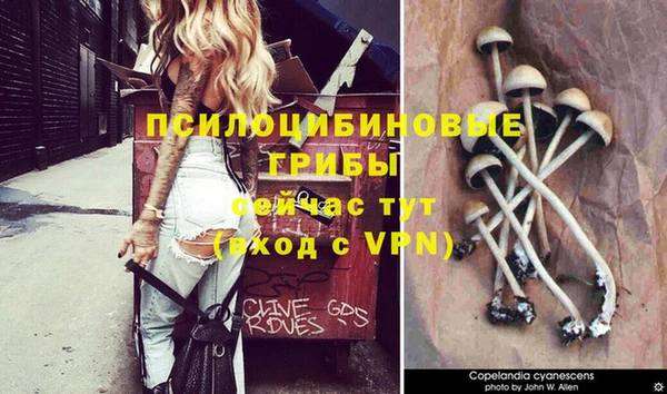 кокаин премиум Елизово