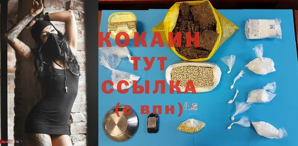гашик Дмитриев
