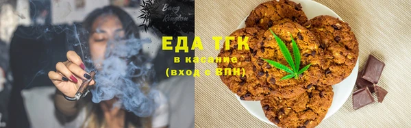 прущие грибы Елабуга