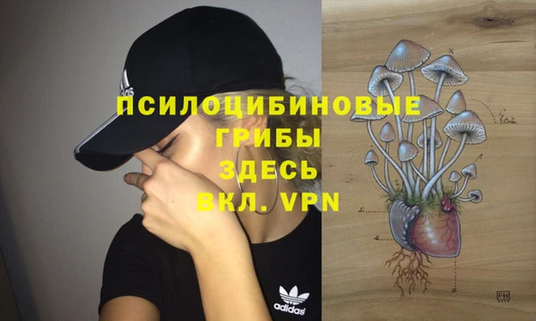 MDMA Ельня