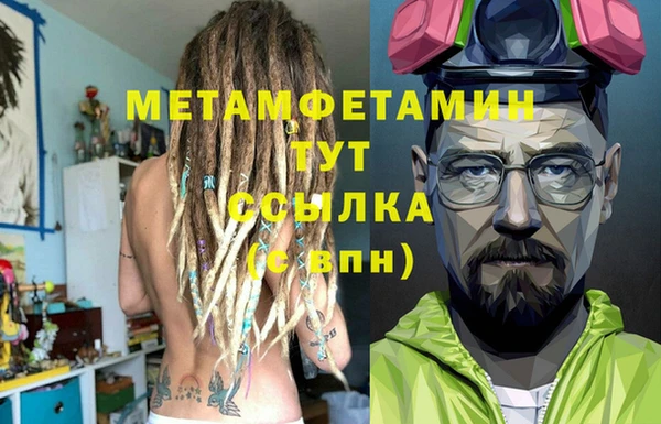 прущие грибы Елабуга