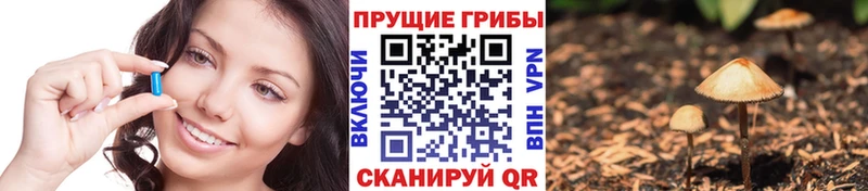 что такое наркотик Вяземский Псилоцибиновые грибы Cubensis